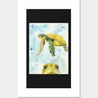 Turtles Posters and Art